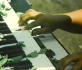 Листья на синтезаторе